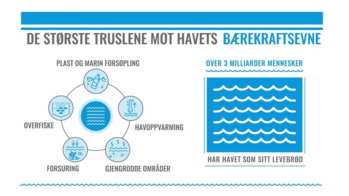 Havet - infografikk