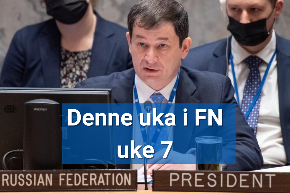 Les intervjuet med Russlands representant i Sikkerhetsrådet i nyhetsbrevet denne uka. Foto: UN Photo/Eskinder Debebe